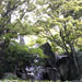 waterfall at the Japanese gardens