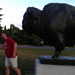 Garth chased by American bison sculpture